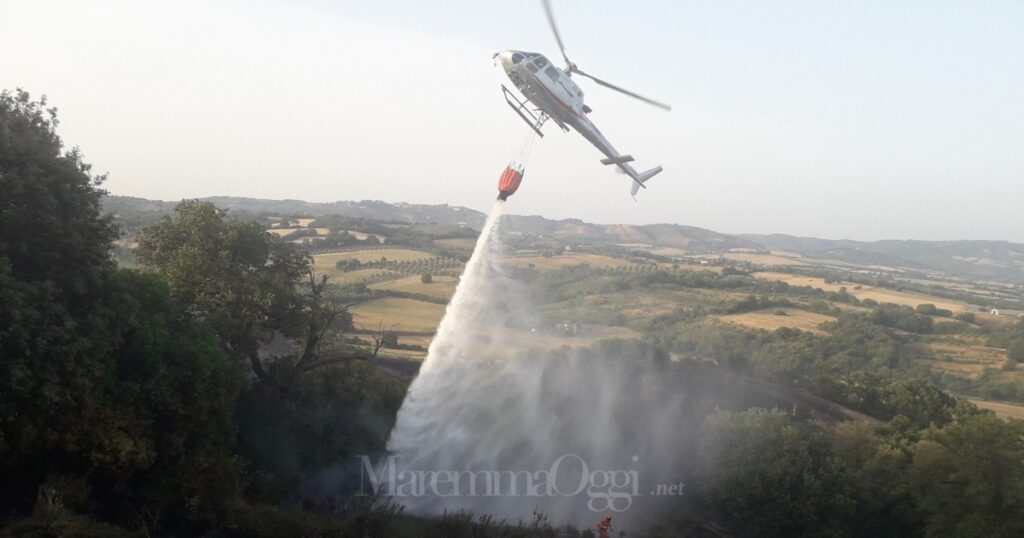 L'incendio è scoppiato nella zona della strada delle Conce, vicino a Campagnatico