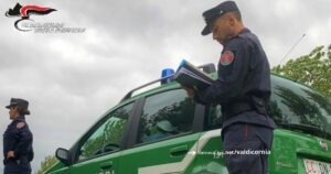 Palizzata abusiva, tre denunciati dai carabinieri forestali