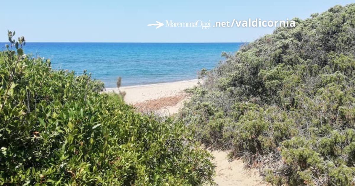 Un'altra immagine del mare a Rimigliano