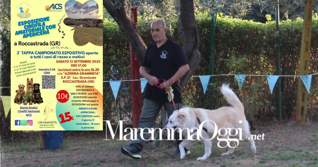 Una delle scorse edizioni dell'esposizione canina e la locandina dell'evento