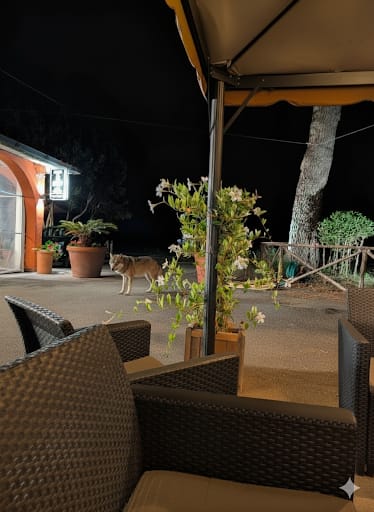 La foto originale, denominata PHOTO-2025-09-21-08-11-34