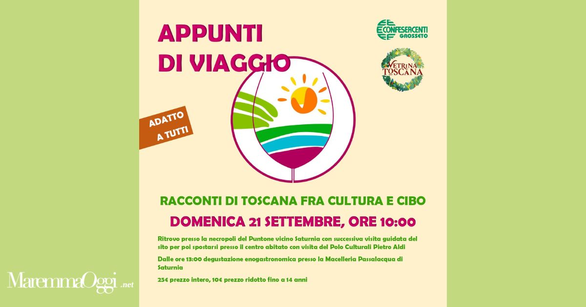 La locandina di Appunti di Viaggio