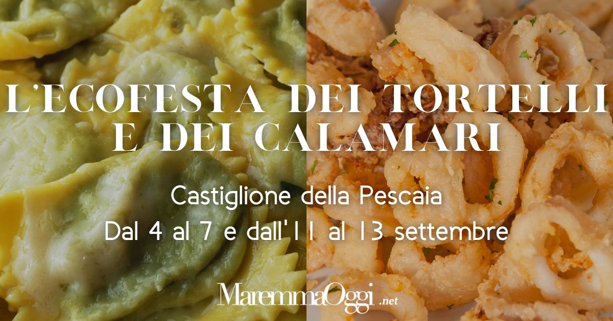 La copertina dell'ecofesta dei calamari e dei tortelli di settembre 2025
