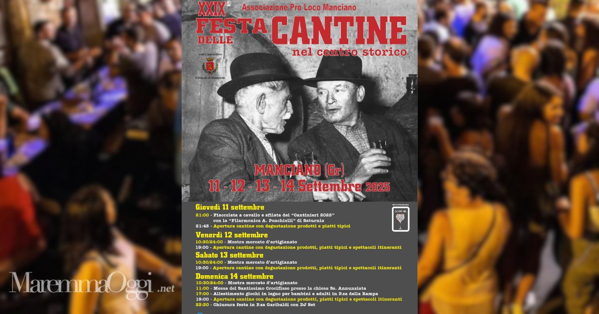 La locandina della Festa della Cantine