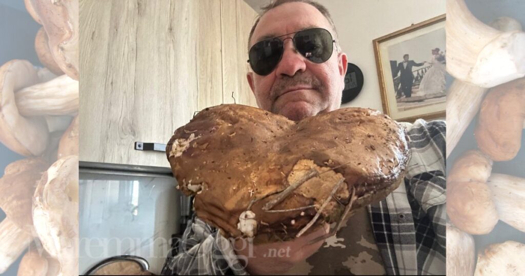 Giuliano Conviti con il suo super fungo a forma di cuore da quasi 3 kg