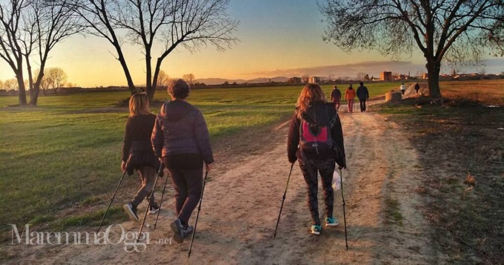 Walking sull'argine della golena dell'Ombrone, sullo sfondo la città di Grosseto