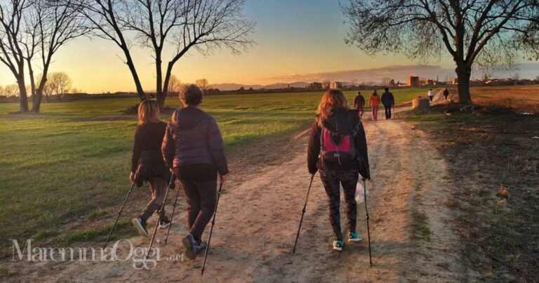 Walking sull'argine della golena dell'Ombrone, sullo sfondo la città di Grosseto