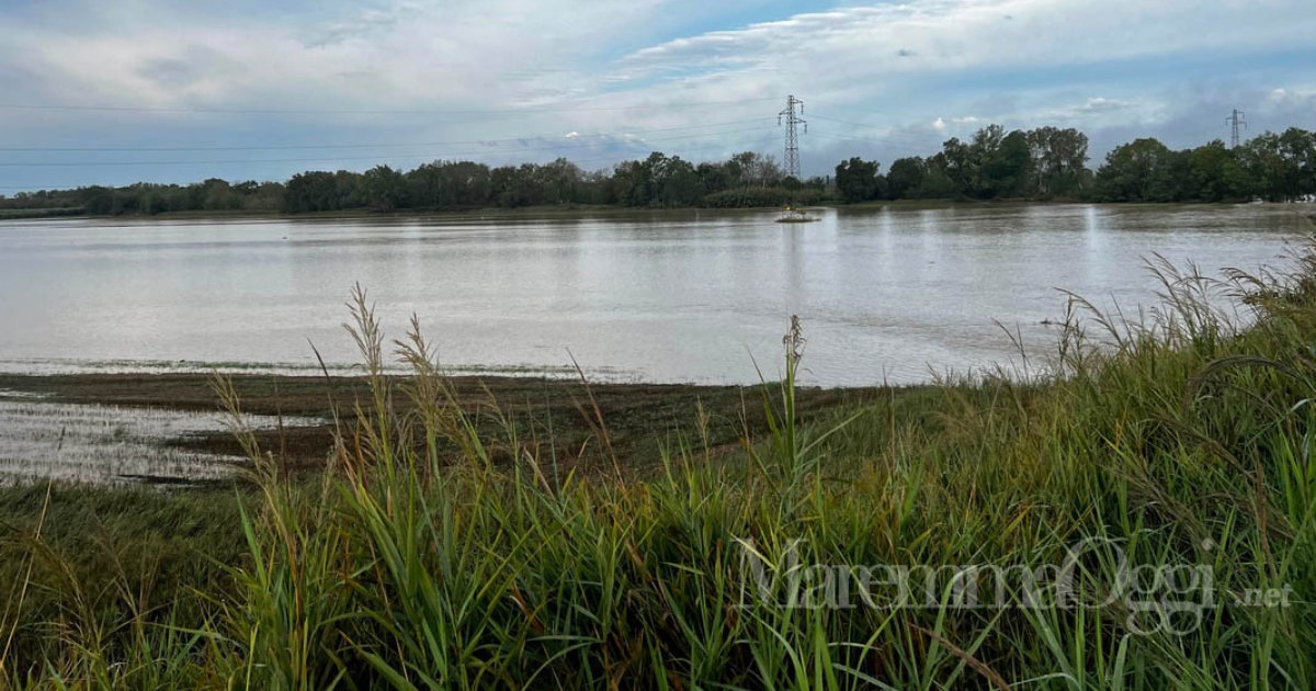 Un'altra immagine dell'Ombrone in golena