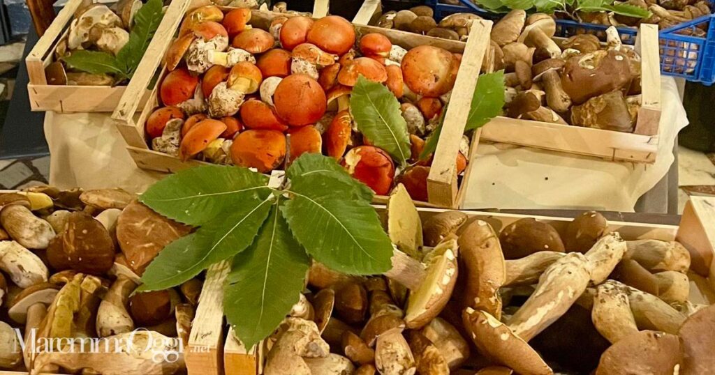 Porcini e ovoli buoni sul banco di un mercato, in Maremma la stagione è eccezionale