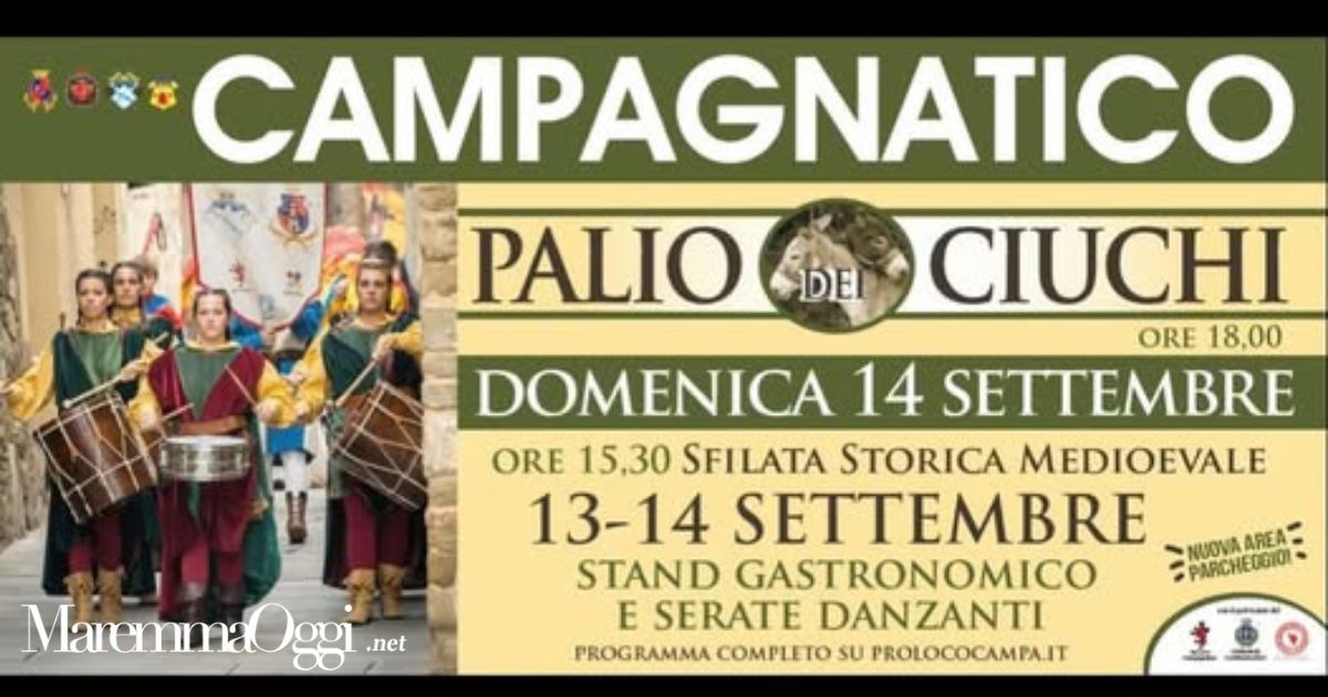 La locandina del palio dei ciuchi
