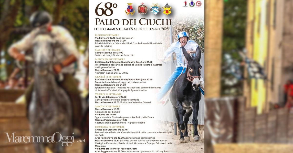 La locandina del palio dei ciuchi