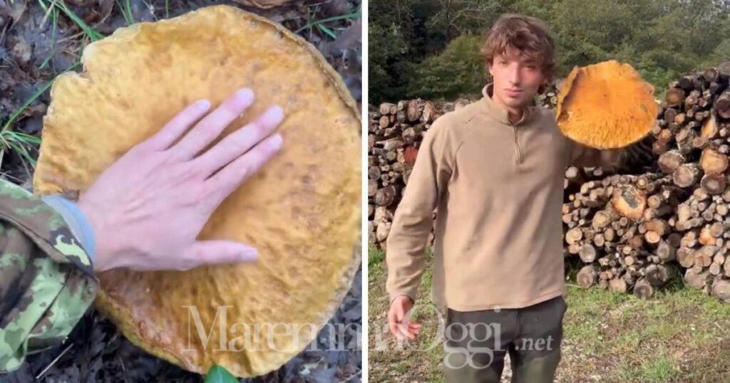 Liam con il porcino gigante