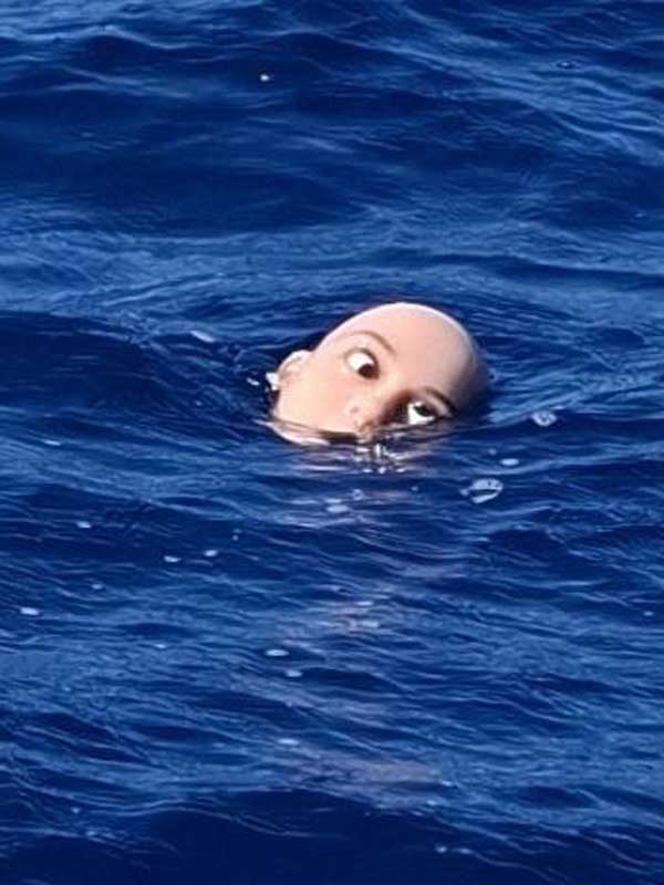 Un'altra immagine della testa in mare a Palmaiola