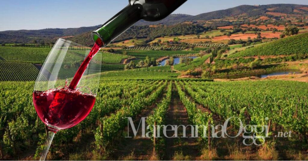 8 vini della Maremma hanno ottenuto i Tre Bicchieri del Gambero Rosso nella guida 2026