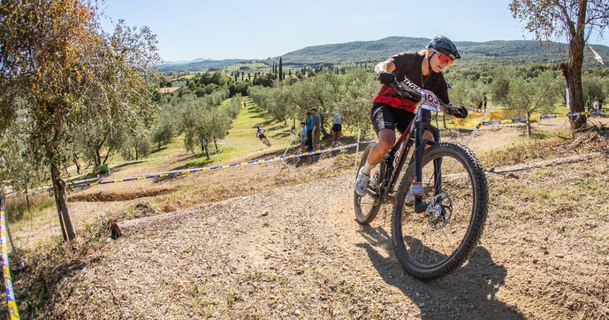 Il percorso che sale verso le colline sulla bellissima campagna massetana.