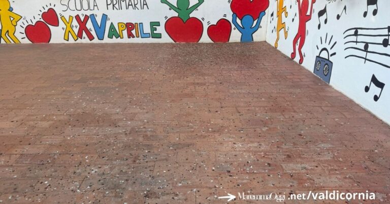 L'ingresso della scuola ricoperto di escrementi