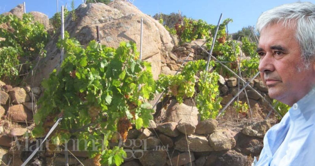 Francesco Carfagna e una delle sue vigne all'Isola del Giglio
