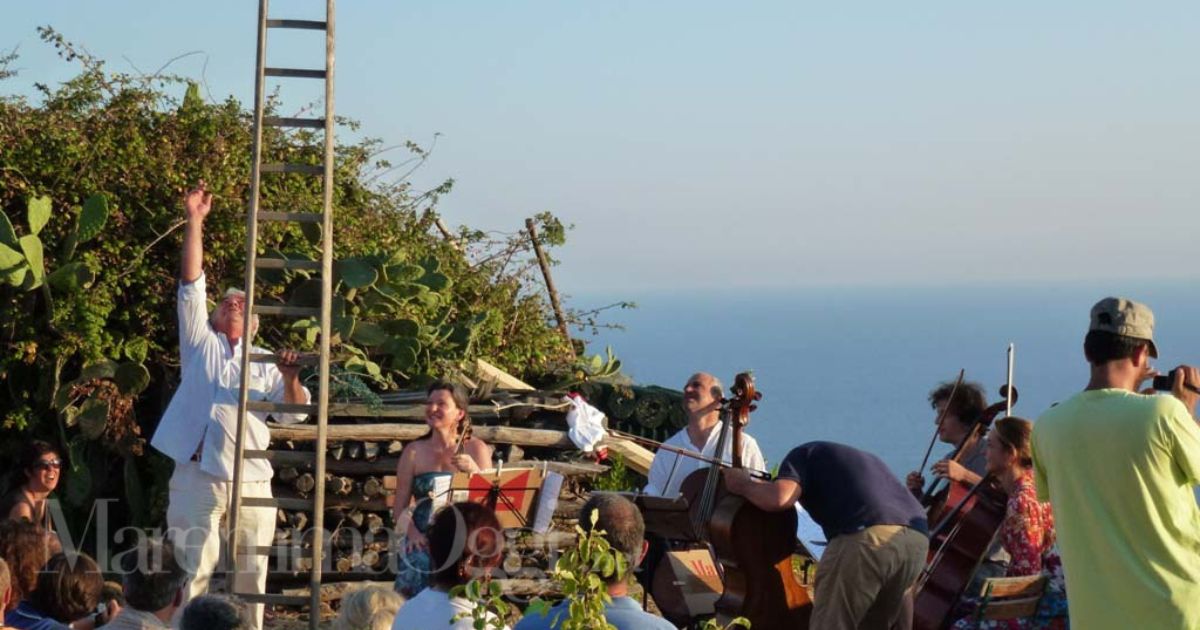 Uno spettacolo di musica nella vigna di Carfagna, al Giglio