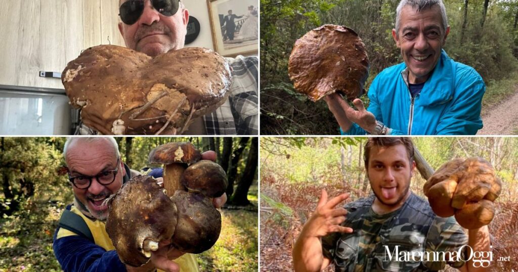 In alto da sinistra: Giuliano e Massimo. In basso da sinistra: Cristian e Alessandro