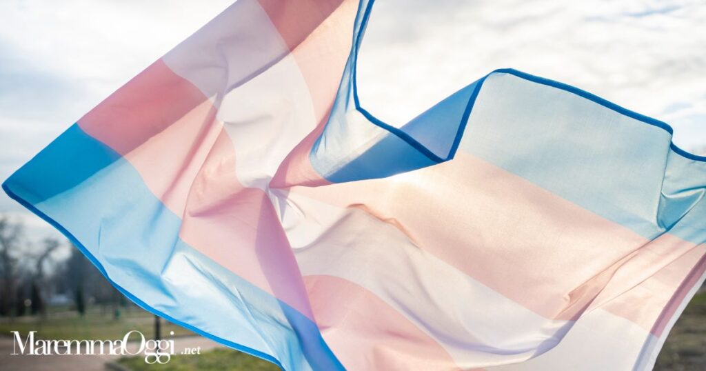 La bandiera transessuale