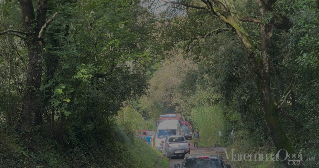 Il ragazzo di 14 anni ritrovato dai vigili del fuoco nella macchia vicino a Pereta