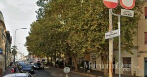 Piazza Ponchielli e i platani che rischiano di essere tagliati