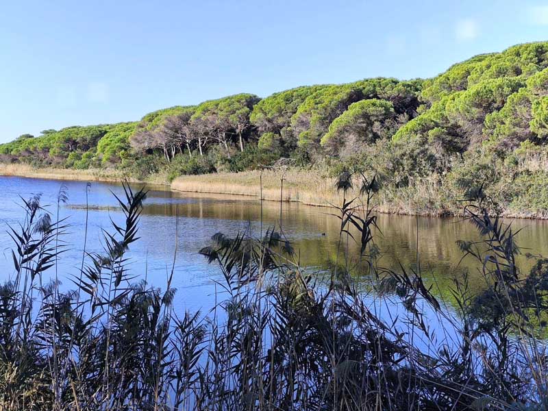Il canale San Leopoldo a Fiumara