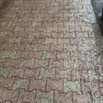I marciapiedi limitrofi alla scuola ancora sporchi