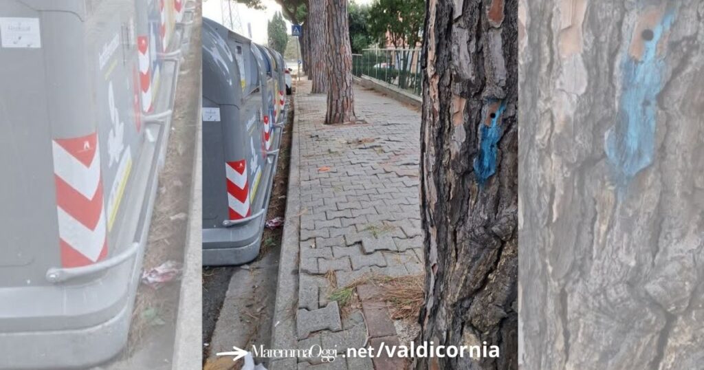 La condizione dei marciapiedi in via Medaglie d'oro