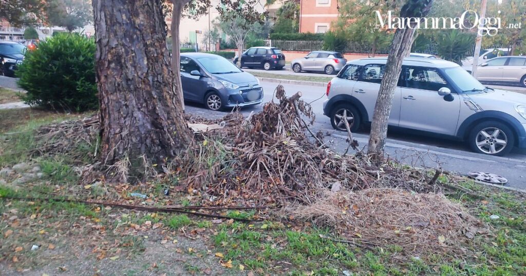 Gli sfalci in via Emilia