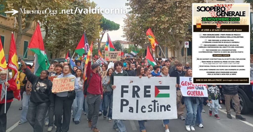 Studenti e docenti in mobilitazione, nel riquadro la locandina dello sciopero del 28 novembre