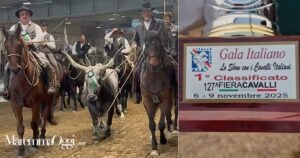 I butteri della Maremma al Galà Italiano di Fiera cavalli Verona 2025