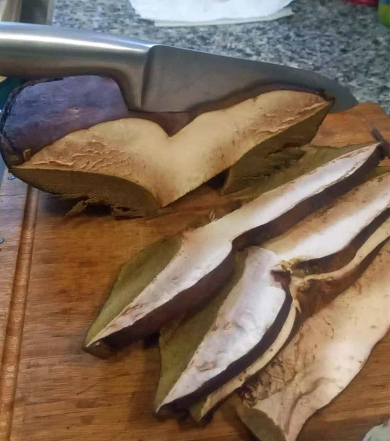 Le maestose fette di porcino sul tagliere prima della cottura