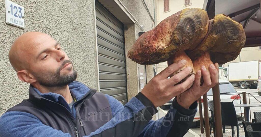 Claudio Vichi con i porcini gemelli da 2,5 kg