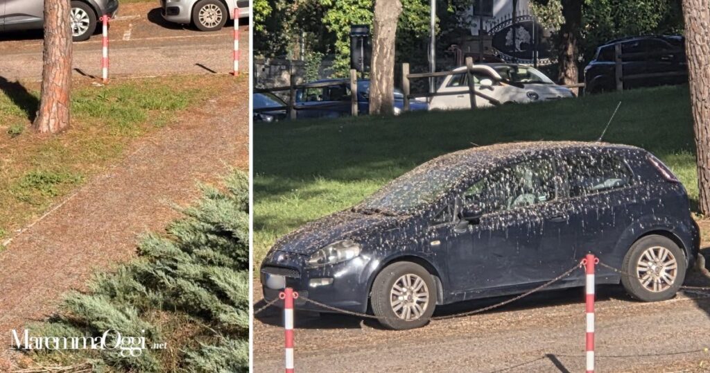 La macchina coperta di guano parcheggiata davanti al Misericordia