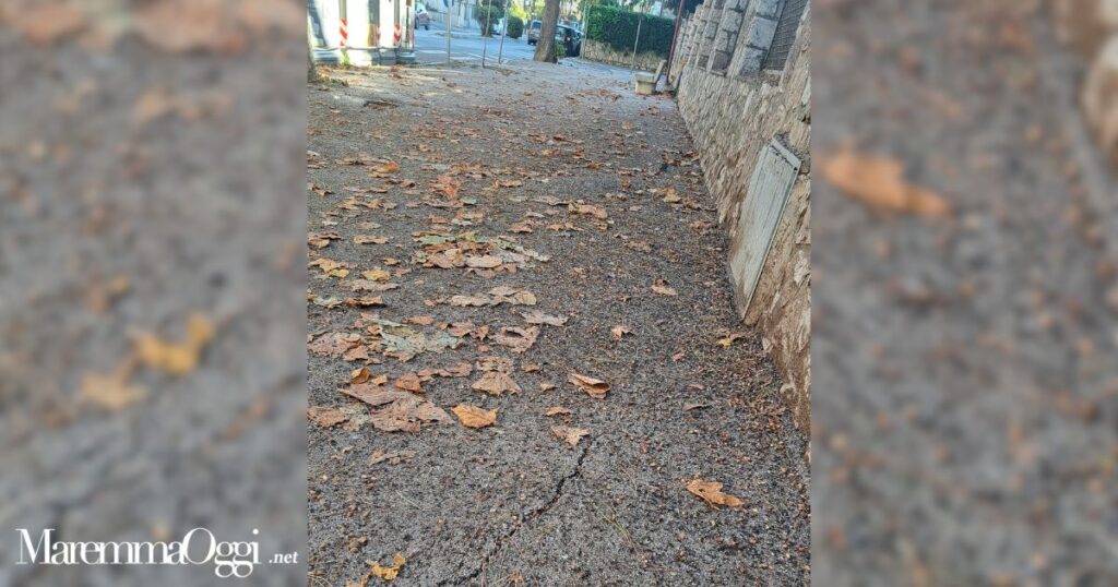 Il guano in via Emilia