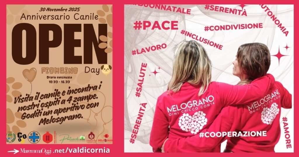 La locandina dell'evento e la Cooperativa Il Melograno