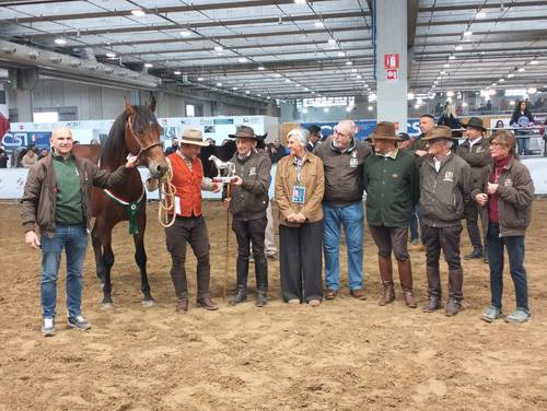 M. Paradiso della Leia