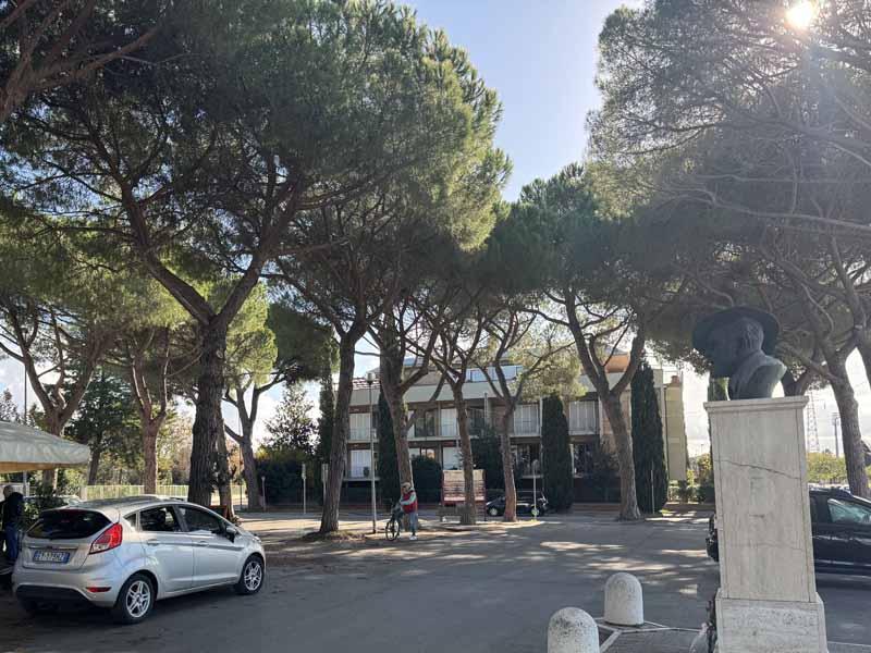 I pini di piazza Donatello