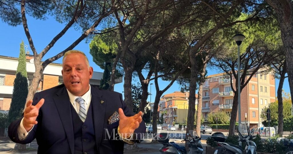 I pini di piazza Donatello e il sindaco Antonfrancesco Vivarelli Colonna che replica dopo la controperizia di Grosseto Città Aperta