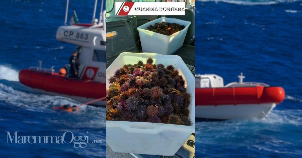 I ricci di mare sequestrati