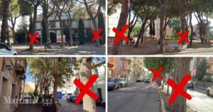 Taglio di 215 alberi in città, ora serve il buon senso