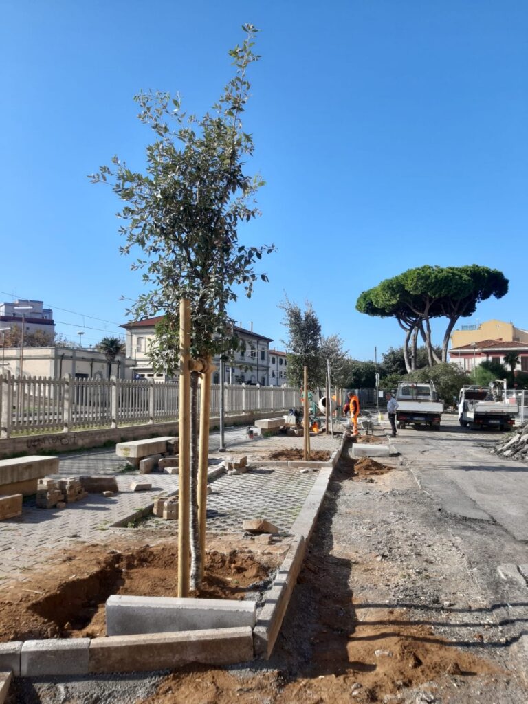 I lavori in via Roma