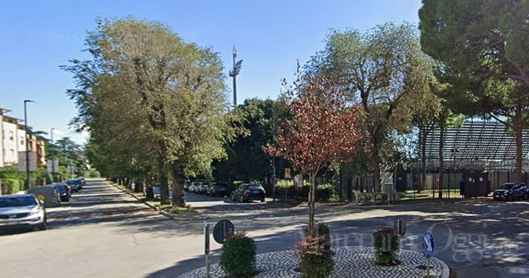 Via Vetulonia, accanto allo stadio: qui sono previsti abbattimenti di 27 olmi, quindi quasi tutti. Una strada che cambierà volto