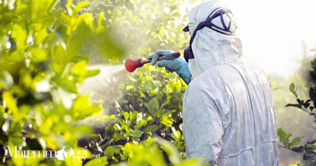 Un agricoltore (Foto d'archivio)
