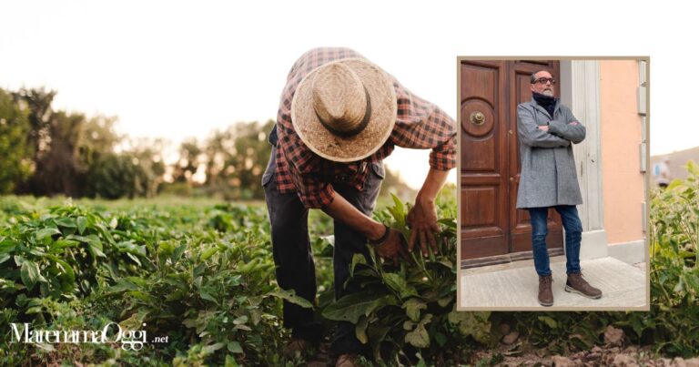 Un bracciante al lavoro e nel riquadro Massimo Borghi
