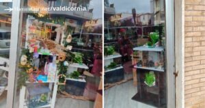 La vetrina del negozio Aquarium con gli escrementi spalmati sopra