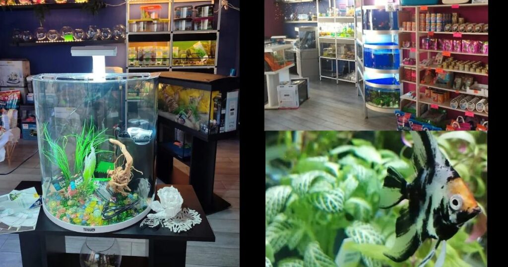 Il negozio di Lisa Mazzinghi