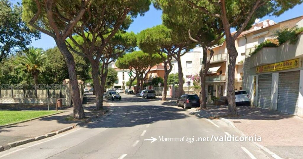 I pini sul lungomare Marconi, che danneggiano il fondo stradale