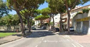 I pini sul lungomare Marconi, che danneggiano il fondo stradale